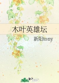 《木叶英雄坛》
