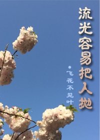 《流光容易把人抛》