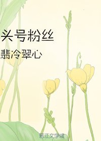 《头号粉丝》