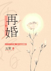 《再婚》