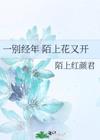 《一别经年 陌上花又开》
