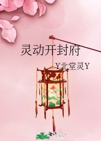 灵动开封府