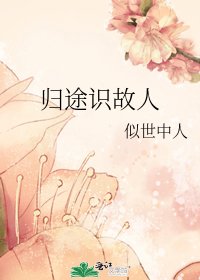 《归途识故人》