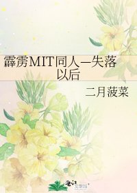 《霹雳MIT同人—失落以后》