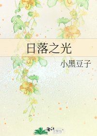 《日落之光》
