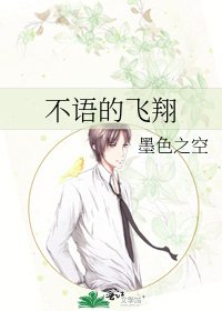 《不语的飞翔》