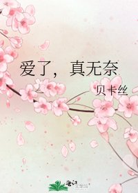 《爱了,真无奈》