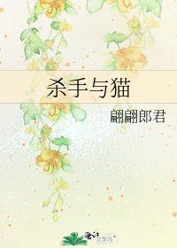 《杀手与猫》