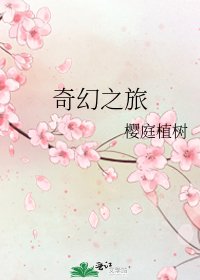 《奇幻之旅》