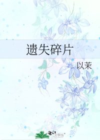 《遗失碎片》