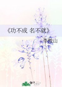 《功不成 名不就》