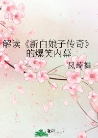 《新白娘子传奇》
