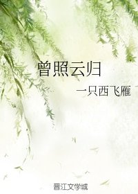 曾照云归