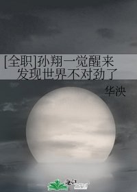 （全职高手同人）[全职]孙翔一觉醒来发现世界不对劲了