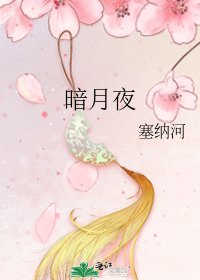 《暗月夜》
