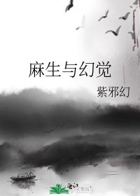 《麻生与幻觉》