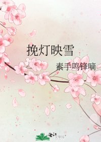 《挽灯映雪》