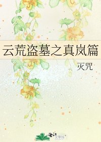 《云荒盗墓之真岚篇》