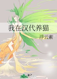 《我在汉代养猫》