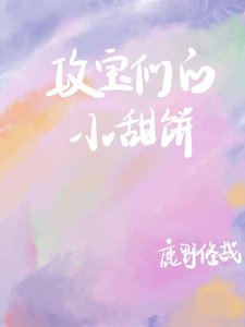 《攻宝小甜饼》