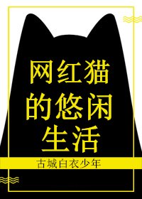 《网红猫的悠闲生活》