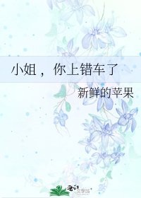 《小姐 ,你上错车了》