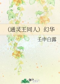 （通灵王同人）幻华
