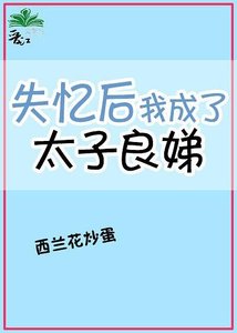 《失忆后我成了太子良娣》