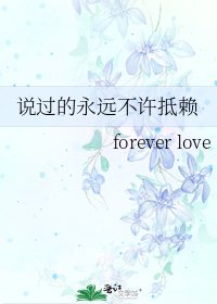 《说过的永远不许抵赖》