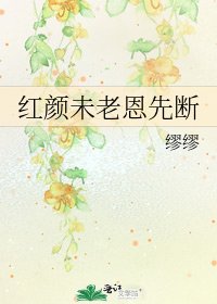 《红颜未老恩先断》