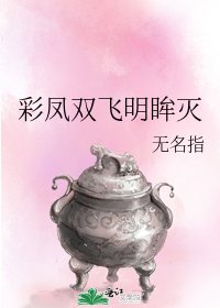 《彩凤双飞明眸灭》