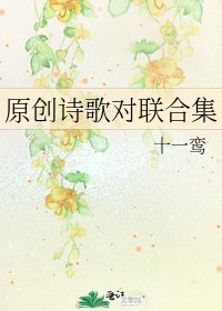 《原创诗歌对联合集》