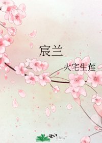 《宸兰》