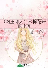 《(网王同人)木棉花开花叶落》