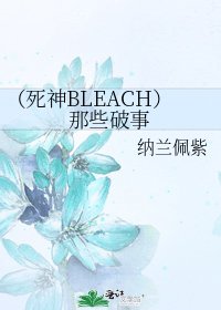 《(死神BLEACH)那些破事》