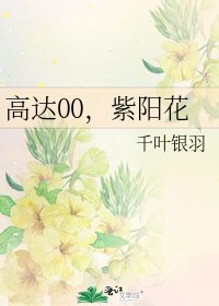 高达00，紫阳花