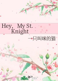 Hey，My St. Knight