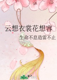 《云想衣裳花想容》