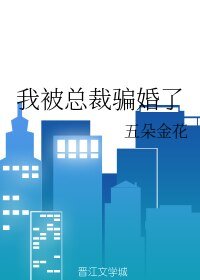 《我被总裁骗婚了》