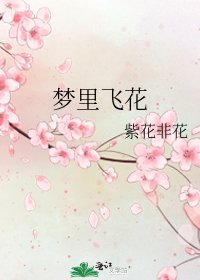 《梦里飞花》