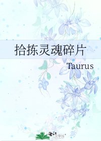 拾拣灵魂碎片