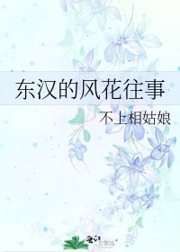 《东汉的风花往事》