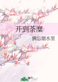 《开到荼糜》