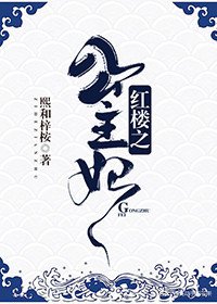 《红楼之公主妃》