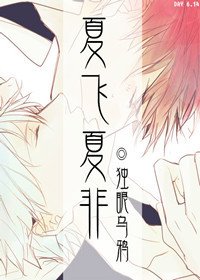 《夏飞夏非》
