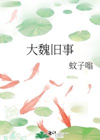 大魏旧事