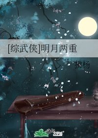 [综武侠]明月两重
