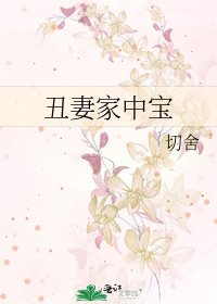 丑妻家中宝