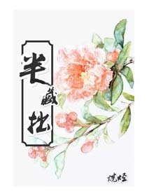 《半藏拙》