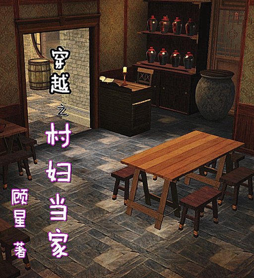 穿越之村妇当家